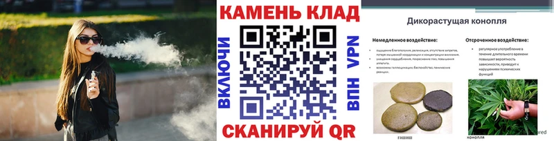 ГАШ гарик  сколько стоит  блэк спрут ссылка  площадка клад  Полярный 