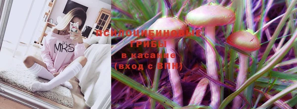 молекула духа Абинск
