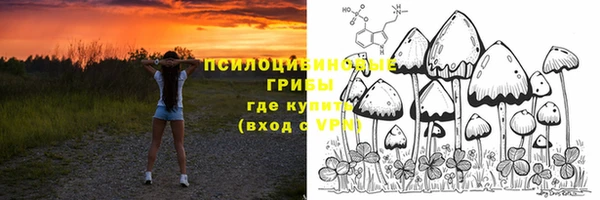 прущая мука Абаза