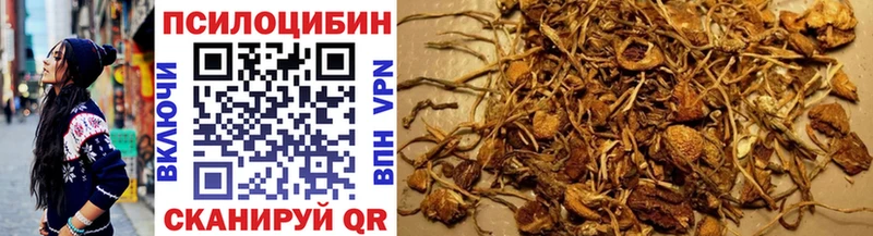Псилоцибиновые грибы ЛСД  как найти   Полярный 